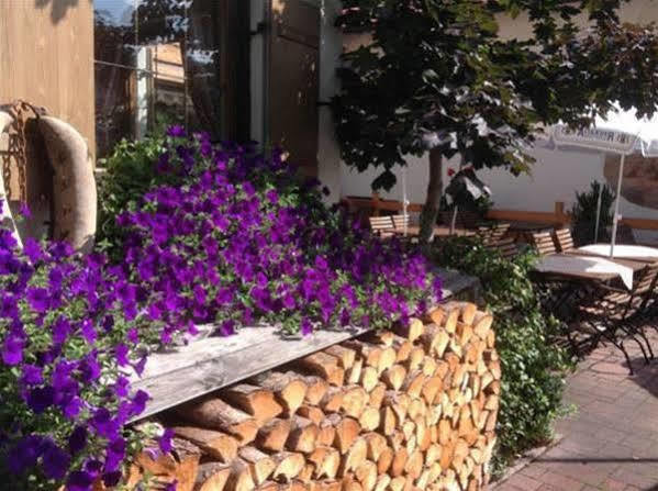 Hotel Restaurant Fruehlingsgarten Füssen Extérieur photo